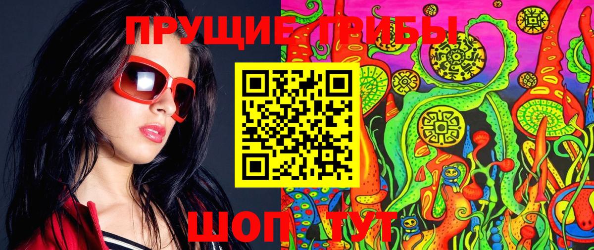 Галлюциногенные грибы Psilocybe Всеволожск